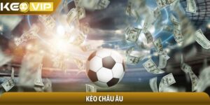 Kèo châu Âu - Bí quyết soi kèo cho người yêu thể thao