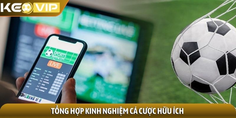 Tổng hợp kinh nghiệm cá cược hữu ích