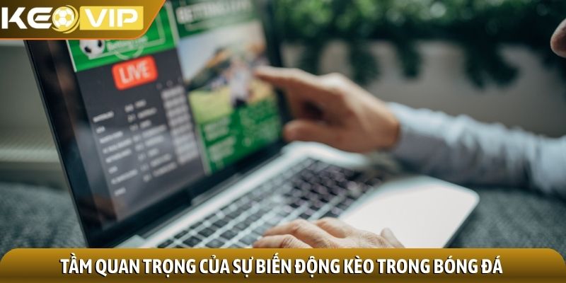 Tầm quan trọng của sự biến động kèo trong bóng đá