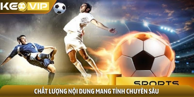 Chất lượng nội dung mang tính chuyên sâu